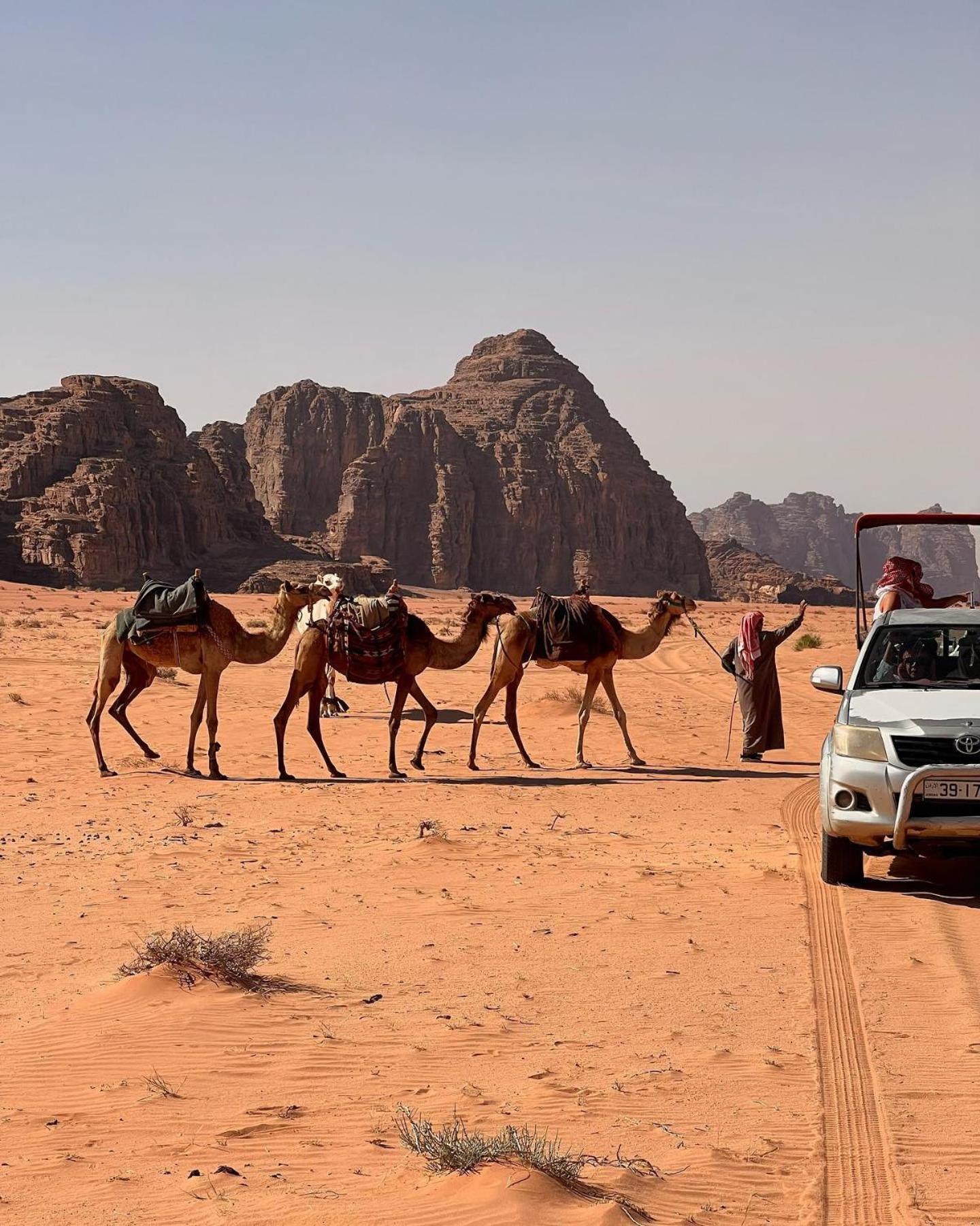 Daniela Camp Wadi Rum Zewnętrze zdjęcie
