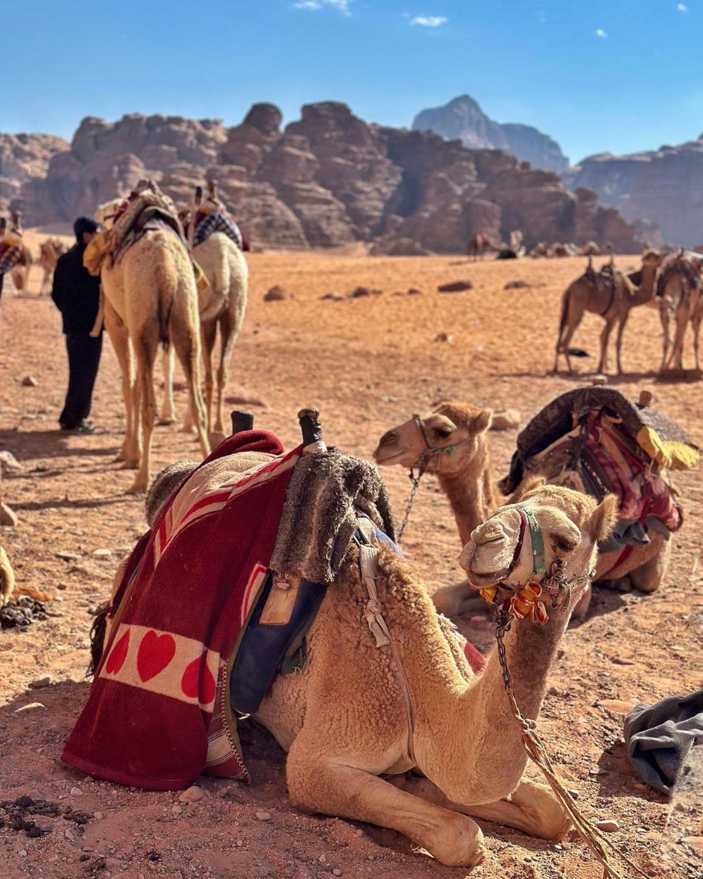 Daniela Camp Wadi Rum Zewnętrze zdjęcie