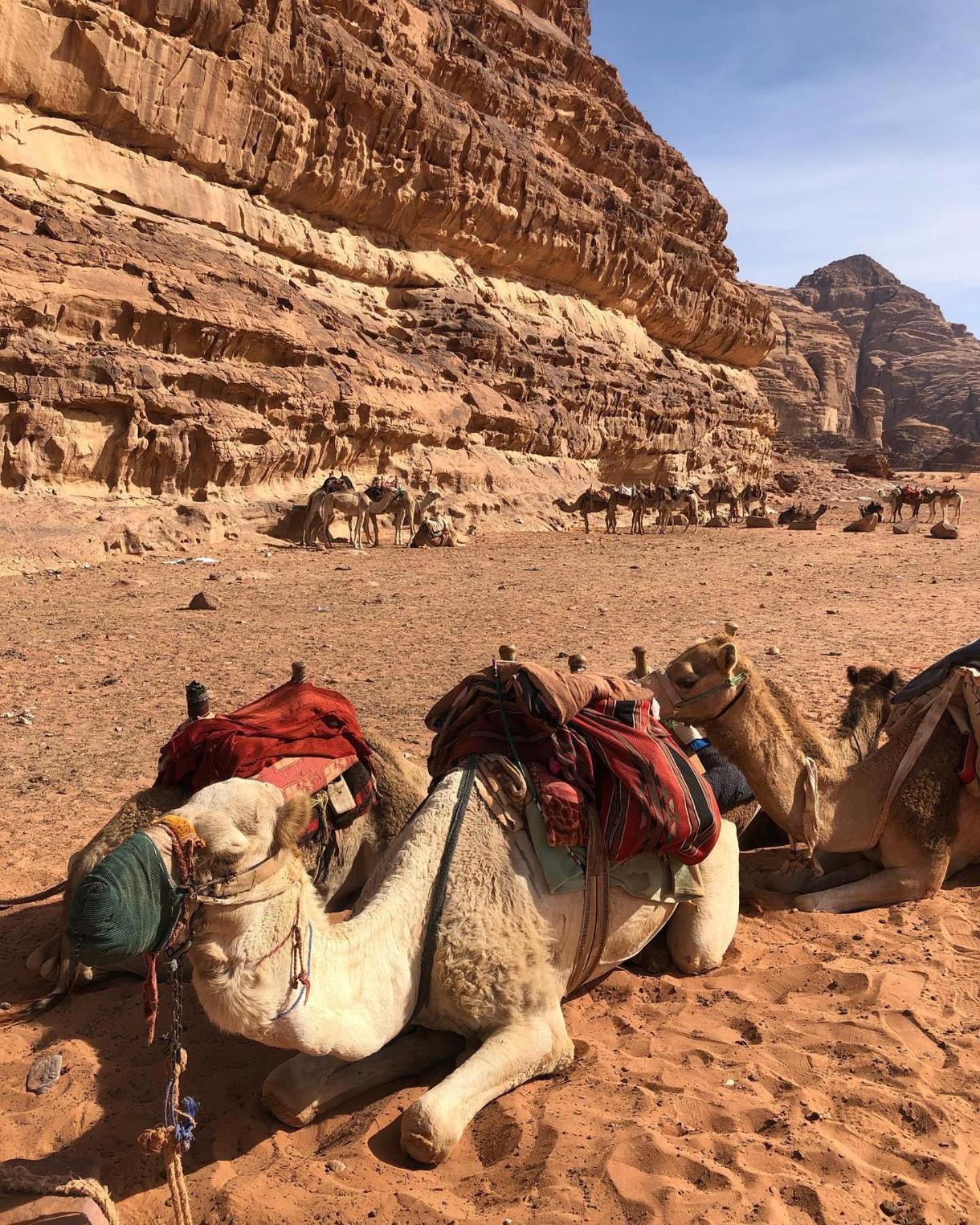 Daniela Camp Wadi Rum Zewnętrze zdjęcie